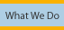 What We Do